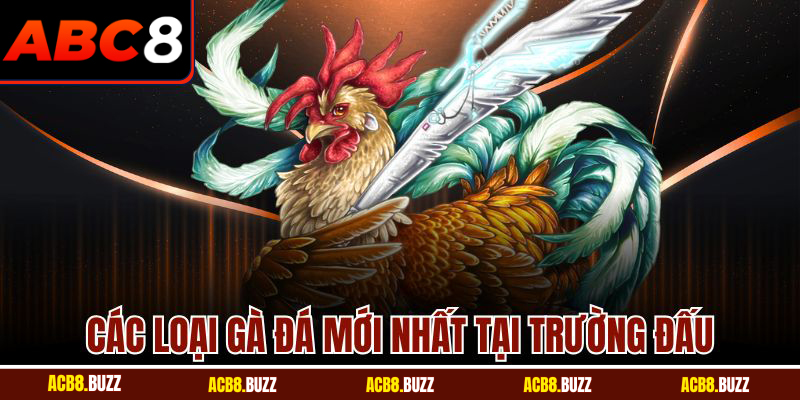 Đá Gà Thomo Mới Nhất - Trận Đấu Đỉnh Cao Cùng ABC8 5 Các loại gà đá mới nhất tại trường đấu