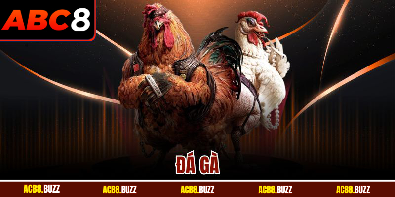 Đá Gà Trực Tuyến Đỉnh Cao Mỗi Ngày Tại Sảnh Cược ABC8
