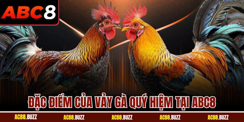 Vảy Gà Quý Hiếm - Bí Quyết Giúp Bạn Thăng Hoa Tại ABC8 4 Đặc điểm của vảy gà quý hiệm tại ABC8