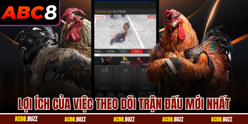 Đá Gà Thomo Mới Nhất - Trận Đấu Đỉnh Cao Cùng ABC8 6 Lợi ích của việc theo dõi trận đấu mới nhất