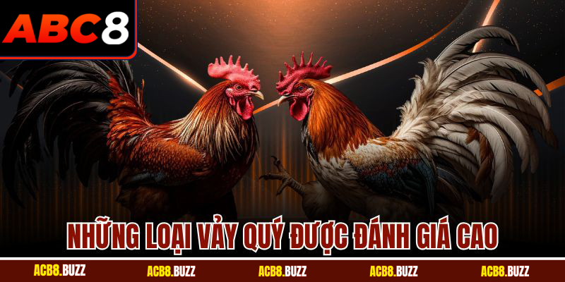 Vảy Gà Quý Hiếm - Bí Quyết Giúp Bạn Thăng Hoa Tại ABC8 6 Những loại vảy quý được đánh giá cao