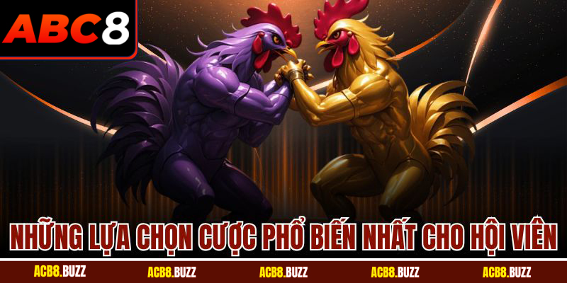 Những lựa chọn cược phổ biến nhất cho hội viên