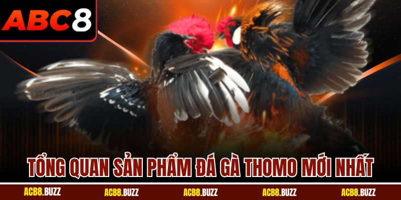 Đá Gà Thomo Mới Nhất - Trận Đấu Đỉnh Cao Cùng ABC8 4 Tổng quan sản phẩm đá gà thomo mới nhất