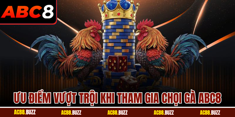 Ưu điểm vượt trội khi tham gia chọi gà ABC8